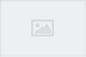 Gree bee  �����!